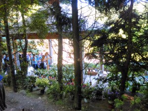 IMG_20150529_160257