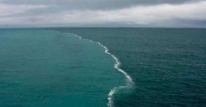 oceane-se-intalnesc-692x360