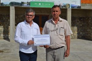 Valentin Dobrea, Policolor refacuta