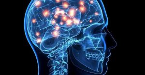 creierr_opt-692x360